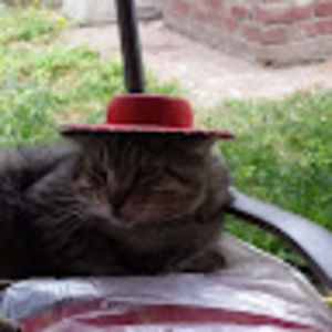 Meet your Posher, Raul